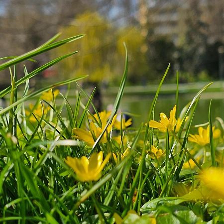 Apartament Central Park キェルツェ エクステリア 写真