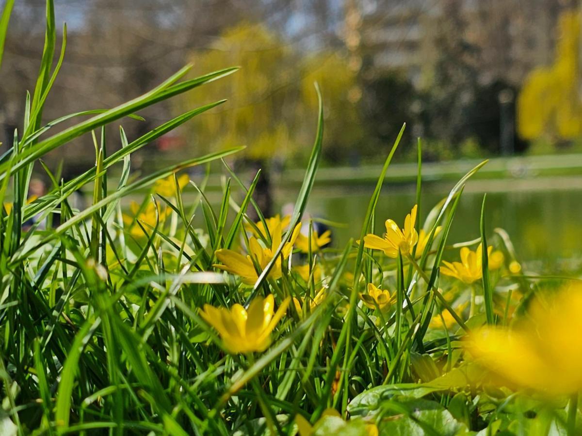 Apartament Central Park キェルツェ エクステリア 写真
